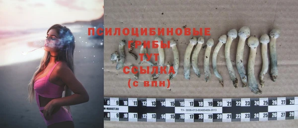 COCAINE Богородск