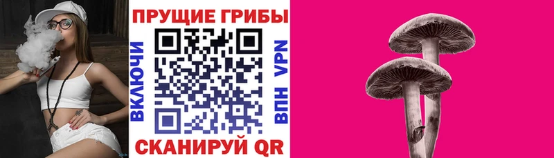 Галлюциногенные грибы Magic Shrooms  Мариинский Посад 